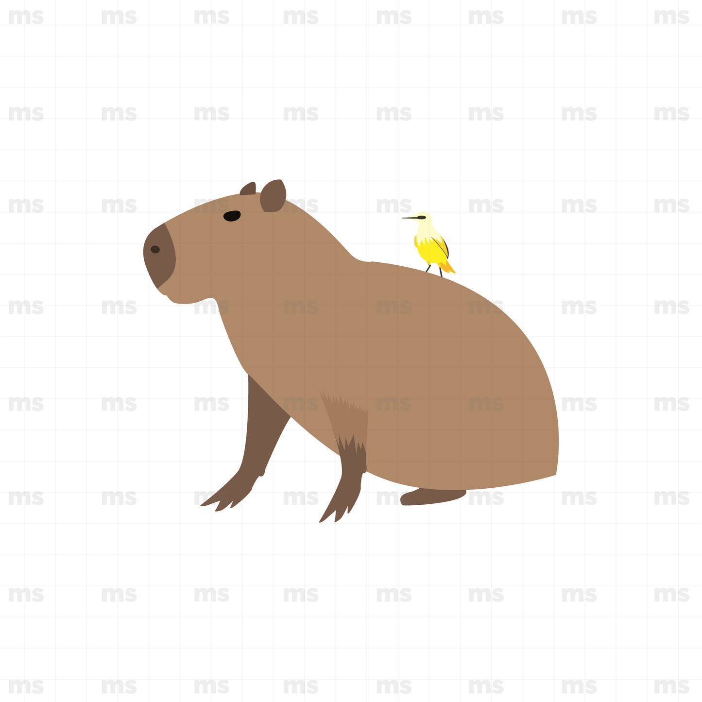 Capibara