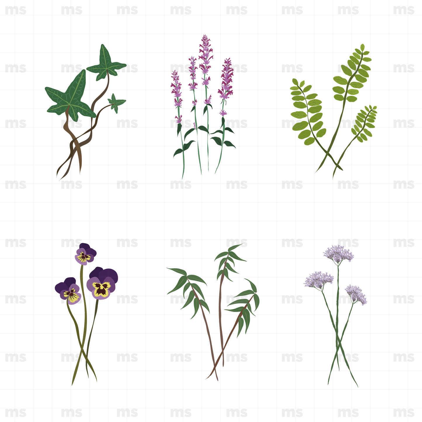 Hojas y flores