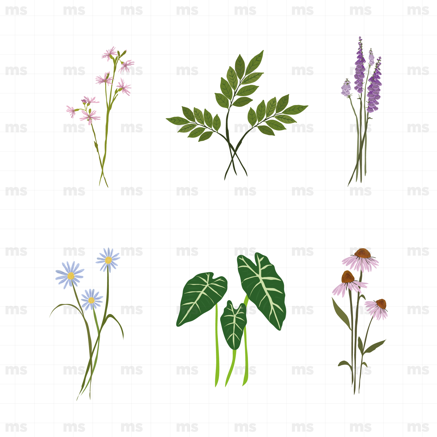 Hojas y flores