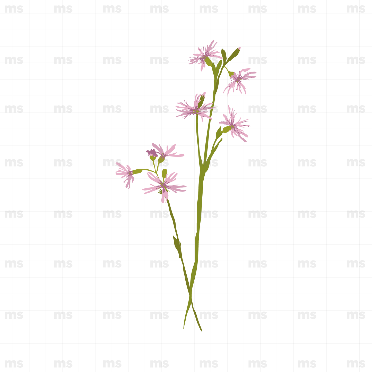 Hojas y flores