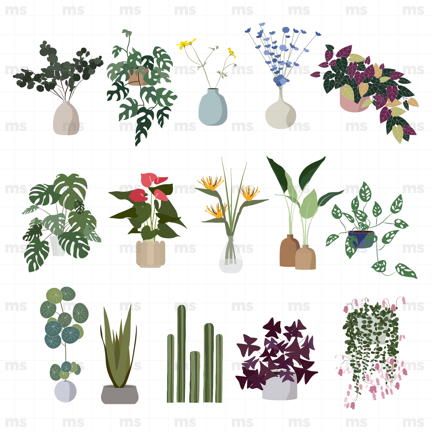 Plantas de interior